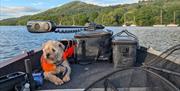 Dog on a boat on a fishing trip with West Pennine Angling Solutions in the Lake District, Cumbria