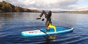 Experience Nature with Instructed Paddleboarding on Windermere with Graythwaite Adventure in the Lake District, Cumbria