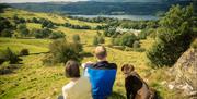 Couple and a Dog Enjoying Scenic Views near Park Cliffe Camping & Caravan Estate in Windermere, Lake District