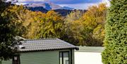 Scenic Views near Park Cliffe Camping & Caravan Estate in Windermere, Lake District
