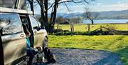 Dog Friendly Holiday Park at Park Foot Holiday Park in Pooley Bridge, Lake District