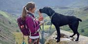 Natural Pet Food and Supplements from Pooch & Mutt, Cumbria