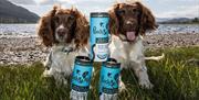 Natural Pet Food and Supplements from Pooch & Mutt, Cumbria