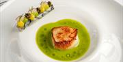 Scallop Dish at Farlam Hall Hotel near Brampton, Cumbria