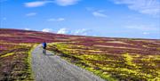 Coast to Coast with Saddle Skedaddle in the Lake District, Cumbria