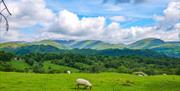 Guided Family Bike Skills with Saddle Skedaddle in the Lake District, Cumbria