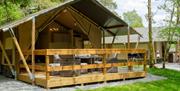 Safari Tents - Skelwith Fold Caravan Park