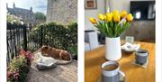 Decor and patio with dogs relaxing at Scarpa from Muddy Boots Escapes in Kirkby Stephen, Cumbria