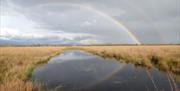 Rainbow at The Secret Side of Foulshaw Moss with Cumbria Wildlife Trust in the Lake District - Photo Credit: Steve Finch