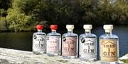 Cumbrian distillery launches two new gins –