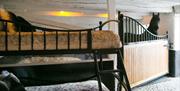 Friesian Horse and Bunkbed at Stable Stays at Greenbank Farm in Grange-over-Sands, Cumbria