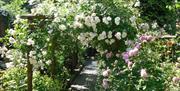 Garden at Storrs Gate House in Bowness-on-Windermere, Lake District