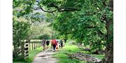 Visitors Exploring on Holidays with SwimTrek in the Lake District, Cumbria
