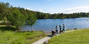 Family with Pram and Dog Walking at Tarn Hows in the Lake District, Cumbria