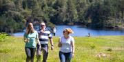 Walkers with Ice Cream at Tarn Hows in the Lake District, Cumbria