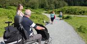 Visitors Walking at Tarn Hows in the Lake District, Cumbria