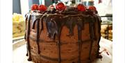 Cakes at The Tea Room at Farfield Mill in Sedbergh, Cumbria