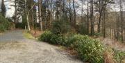 Grounds at The Coppice in Manesty, Lake District