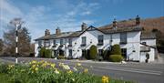 Exterior and Daffodils at The Swan at Grasmere in the Lake District, Cumbria