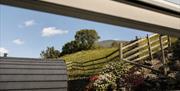 The Lookouts - luxury glamping pods at The Yan. Photo: Carole Poirot