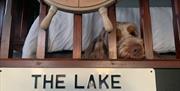 Dog sleeping next to a sign reading "The Lake District" at The Dairy at Brackenthwaite Farm near Arnside, Cumbria