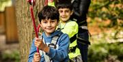 Children at Treetop Trek in Windermere, Lake District