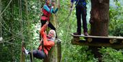 Family at Treetop Trek in Windermere, Lake District