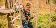 Child on a rope bridge at Go Ape in Grizedale Forest in the Lake District, Cumbria