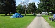 Tents and Touring Pitches at Ullswater Holiday Park in the Lake District, Cumbria