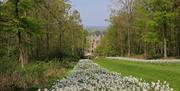 Grounds at Lowther Castle & Gardens in Lowther, Lake District