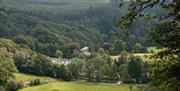 Grizedale Visitor Centre