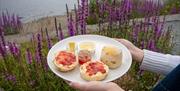 Food from The Cafe at Windermere Jetty Museum in Bowness-on-Windermere, Lake District © Natasha Suriya, Lakeland Arts
