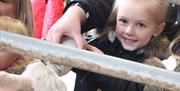 Feeding Animals at Walby Farm Park in Walby, Cumbria
