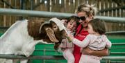 Animal Experiences at Walby Farm Park in Walby, Cumbria