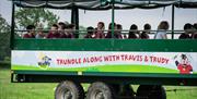 Tractor Tours for Schools & Group Visits to Walby Farm Park in Walby, Cumbria