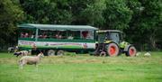 Tractor Tours at Walby Farm Park in Walby, Cumbria