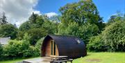 Glamping pods at Waterfoot Park in Pooley Bridge, Lake District