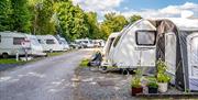 Touring & Camping at Waters Edge Caravan Park in Crooklands, Cumbria