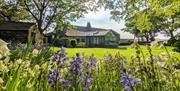 Garden in summertime with bluebells and blooming flowers at Wayside Cottage 1637 in Whitbeck, Lake District