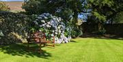 Bench in garden in summertime at Wayside Cottage 1637 in Whitbeck, Lake District