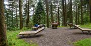 Lounging Chairs on the Wow Trail at Whinlatter Forest in the Lake District, Cumbria
