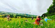 Yoga & Mindfulness Retreats with Wild Soul in Grange-over-Sands, Cumbria