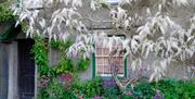 Front of house and gardens at Hill Top, Beatrix Potter's House in Near Sawrey, Ambleside, Lake District