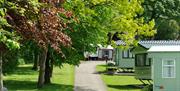 Green spaces at Woodclose Caravan Park in Kirkby Lonsdale, Cumbria