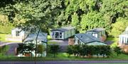 Green spaces at Woodclose Caravan Park in Kirkby Lonsdale, Cumbria
