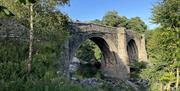 Scenery near Woodclose Caravan Park in Kirkby Lonsdale, Cumbria