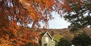 Autumn colours at Hazel Bank Country House Hotel in Rosthwaite, Lake District