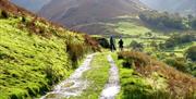 Bike Tours at Newlands Adventure Centre