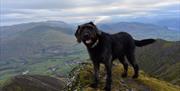 Blencathra