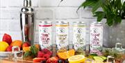 Luxury Fruit Gin Drinks from Lakeland Artisan, made in the Lake District, Cumbria